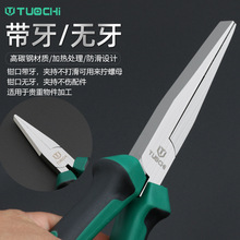 �����Qƽ��6������Q���X�o�X����Q�A���Q�ӎ��Xƽ���Q��ƽ���Q