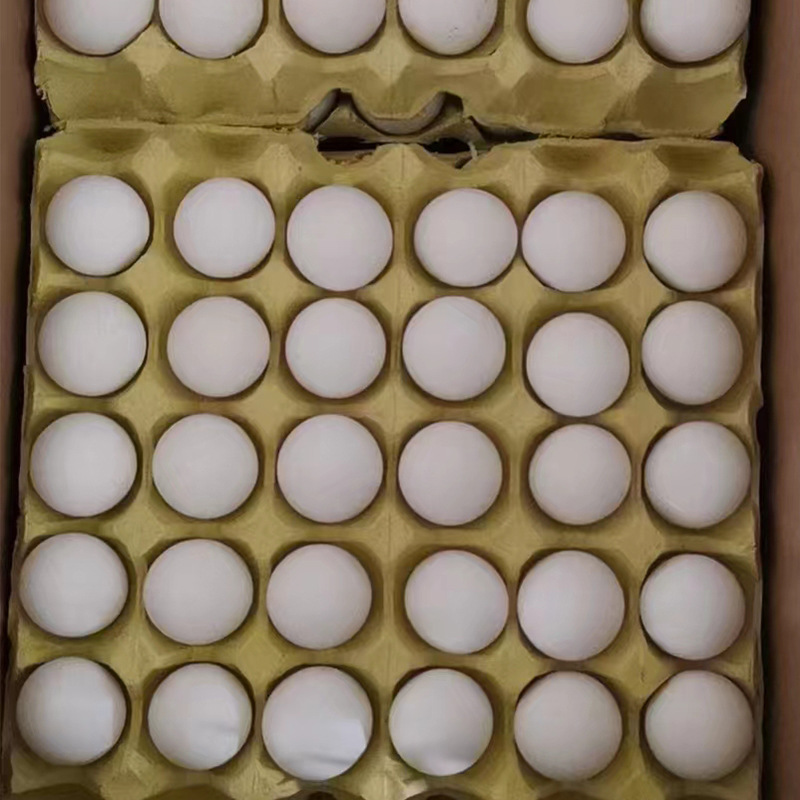 微信图片_202209011424284