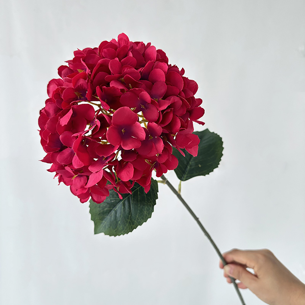 지얀 싱글 브러쉬드 수국 로즈 레드