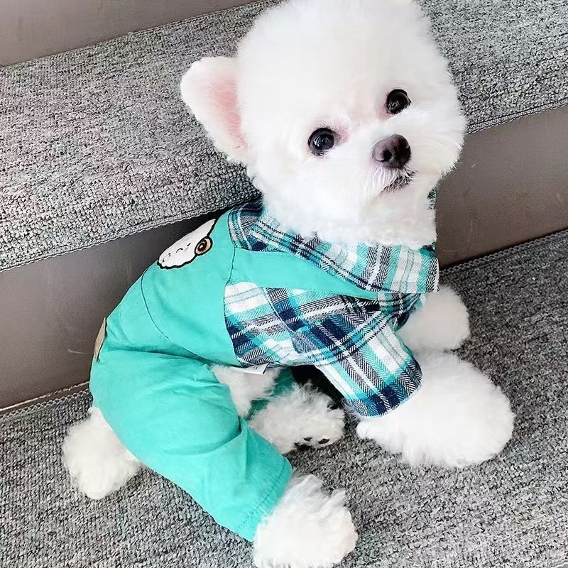 네 다리가 있는 녹색 양