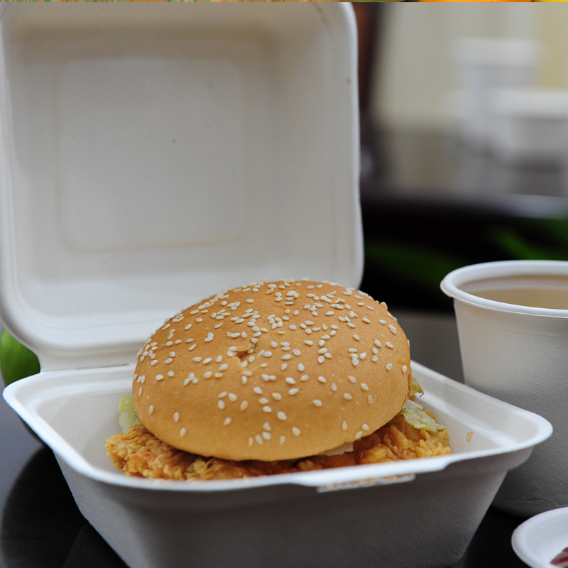 可降解一次性环保餐具 美式6寸汉堡盒