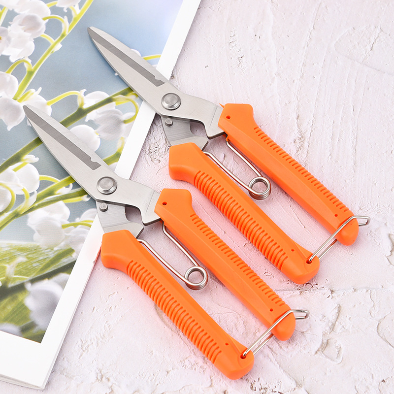 批发不锈钢树枝剪修枝剪摘水果花木剪园林果树花枝嫁接园艺剪刀