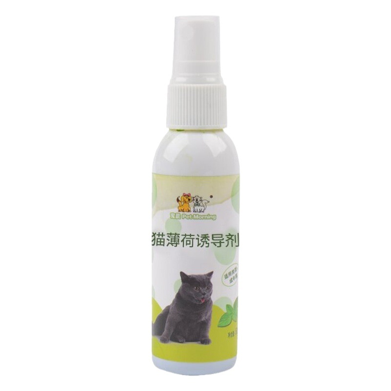 Suministros para mascotas spray de menta gatera spray inductor de spray de menta gatera juguetes para gatos tabla de agarre para gatos juguetes para gatos divertidos