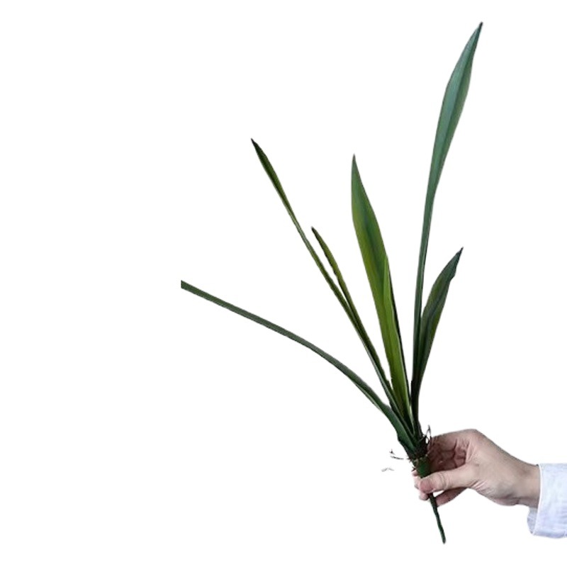 Helecho silvestre Taro hoja verde Planta artificial flor simulación con raíz barba selva tropical decoración Mori paisaje simulación planta mango paquete