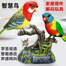 �����B���늄�������܌W��������B��ͯС�B����������