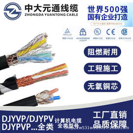 计算机屏蔽电缆ZR-DJYPVP阻燃本安防爆DJYP2VP2 DJYPVP22仪表电缆