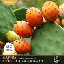 ���ʘ�Ħ����ЙC����������Prickly pear Seed ���������o�w���l