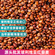 �����S���M�ڼt޼���� ��˾����決ԭ�� �t������Դ�^�F؛���l