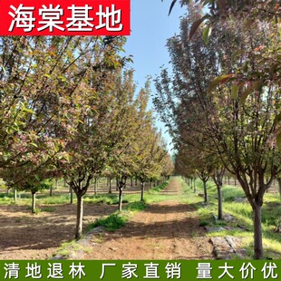 ����ֱ�N8 10 12 15 18 20�������� ���� ���z �k�� �ȶ�N���Ę�