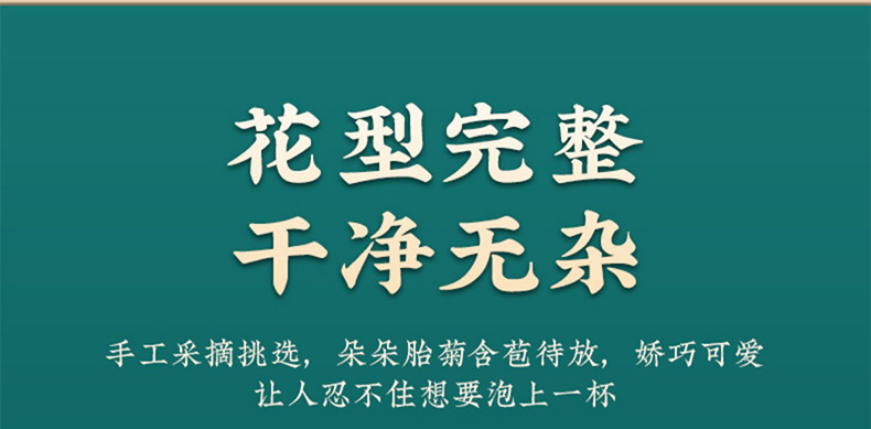 Tai Ju Chrysanthemum Tea Buds Tai Ju Hua Dried Flower Tea 500g Loose Bulk Herbal Tea quality and texture