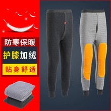 冬季男士加绒护膝保暖裤中老年加厚不倒绒三护热能裤防寒打底裤