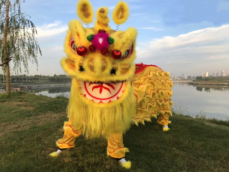 舞狮道具整套南狮双人舞狮子龙醒狮成人服装狮头套装-阿里巴巴