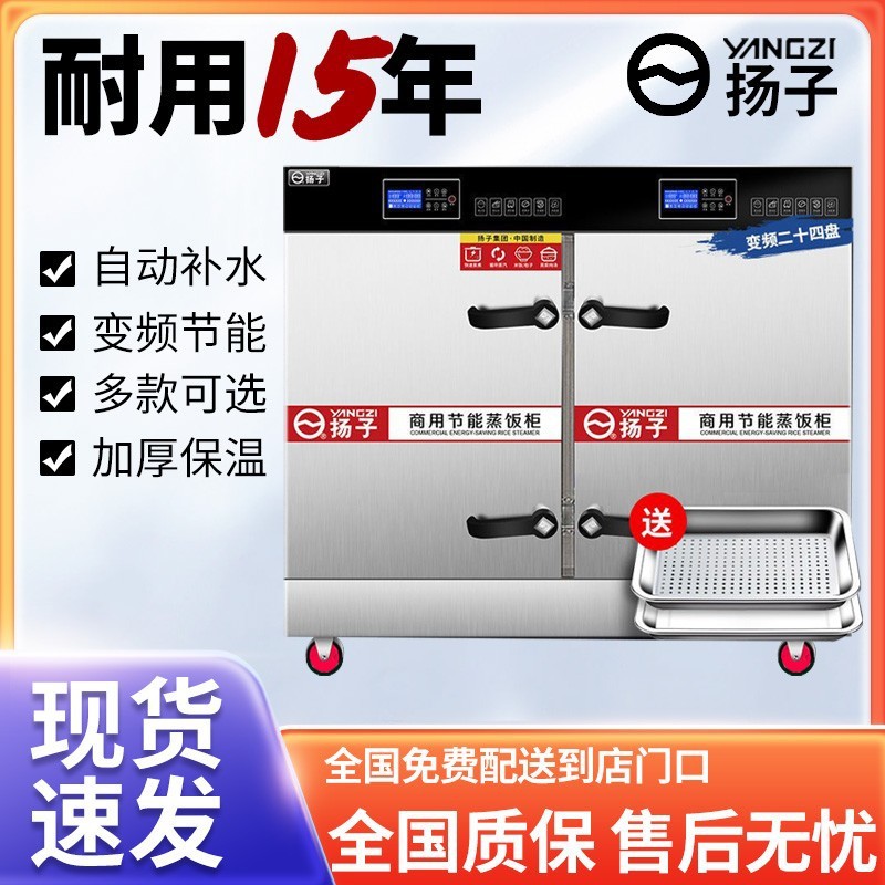 Gran gabinete de arroz al vapor de dos puertas, 24 placas automáticas, gabinete de vapor de gas, comedor de la escuela, pan al vapor comercial, envío gratuito