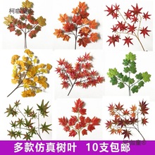 �ۘ�̎�����~�ӱ��������~ԡ��Ժ�쾰�t����ͩ���b�֦����̫��