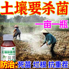 农用土壤杀菌抑菌剂预防土传病害抗重茬抗根腐病菌剂土壤改良剂