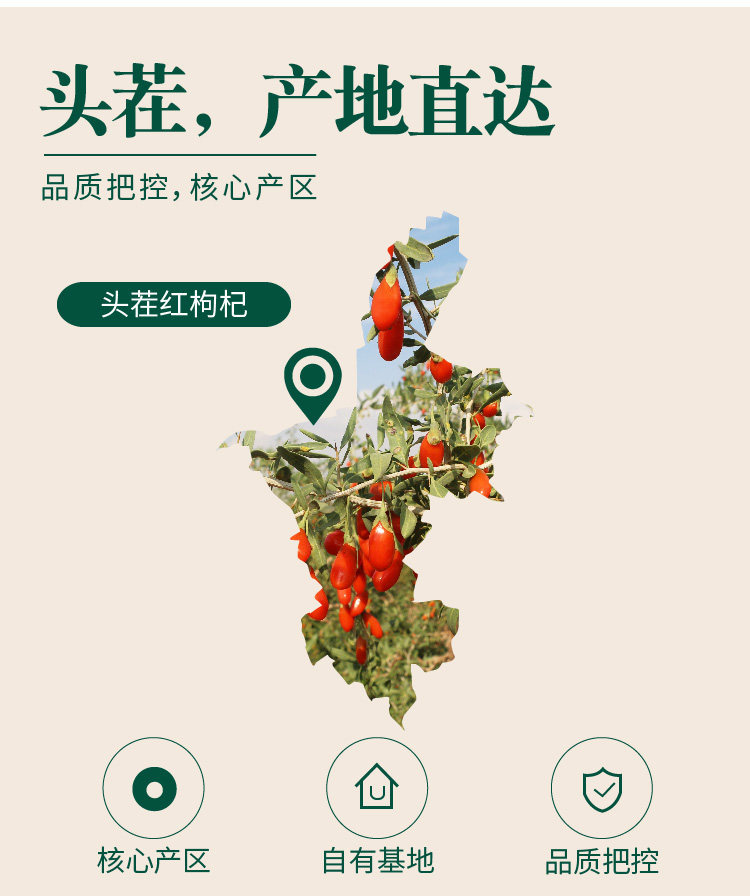 Ningxia Goji Berries Gou Qi Zi 500g Premium Dried Red and Black Wolfberry for Tea and Cooking specifications