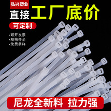 Դ�^���S���l���������ڰ��pɫҎ���Rȫ���������iʽ����