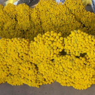 �S�����r���ɻ�����ϏS�����l���r���ɰl؛�滨���ֱ�l