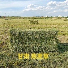 ݲBֳţţСݸɲݲ݉Kl