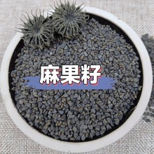 Ұɽ������ Ұ���������� ��������������������ëë������؛