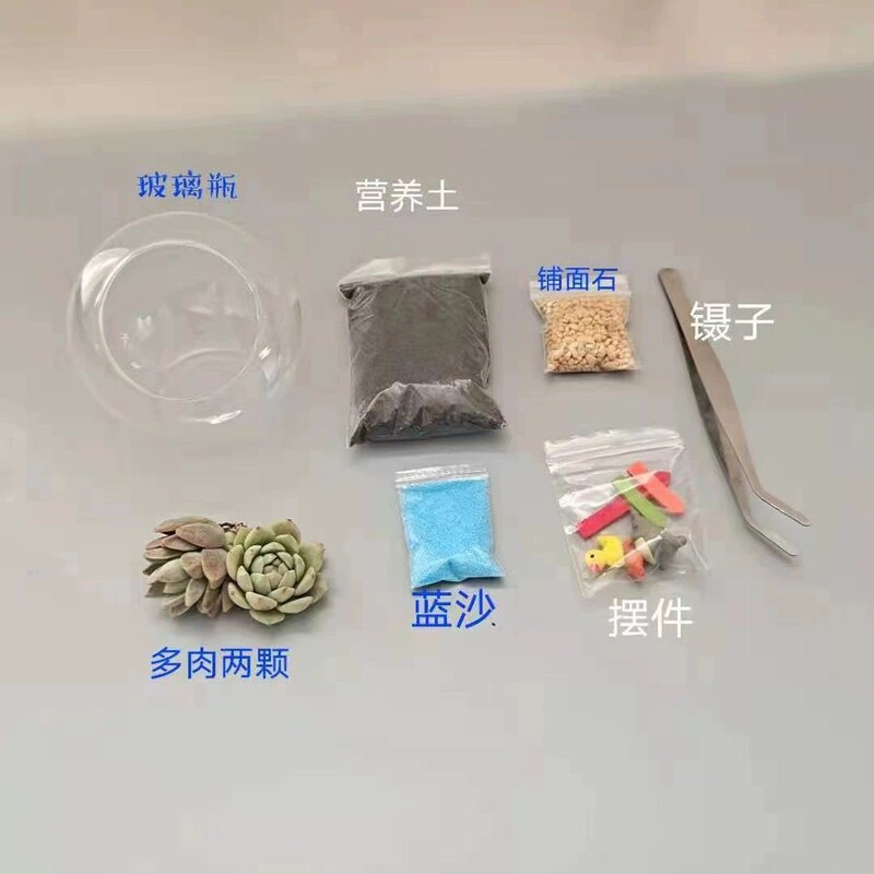 warm field activity moss micro landscape diy material ornaments pavement room blue sand nutrient soil doll supplies