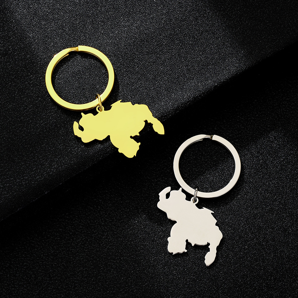 13g Weight Keychain Classification 201 Stainless Steel Material Map Pattern Simple Style Map Titanium Steel Unisex Keychain 6