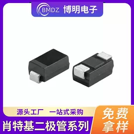 其他二极管;电阻器;电感器