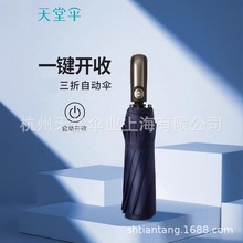 ���Â�ȫ�Ԅ��ۯB���y�ӹ���̫ꖂ������Ů������ʿ�̄��Ԅӂ�