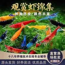 �^�p�r�����r��ˮ�~���坍���߲�ɫС�r�O���r�ѻ��r�{��ʯ�r��