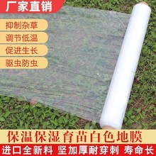 溥膜农用棚膜地膜加厚种植农用地薄膜土壤种菜膜塑料膜薄膜纸菜园