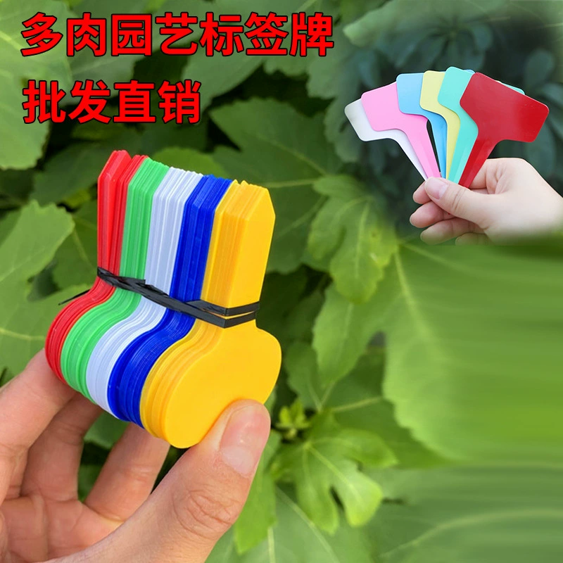 Садовая маркировочная пластина для суккулентов, пластиковая идентификационная пластина для растений, маркировочная пластина для горшечных растений, идентификационная пластина для цветочного горшка