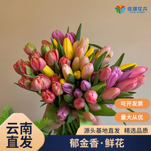 �������r�����l����ֱ�l��ɫ������������������c�r�л�С������