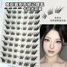 �K槼�������ʽ��ϵ��ë���ֶ�ʽ��ȻŮ����б�w��ʽ������β���L