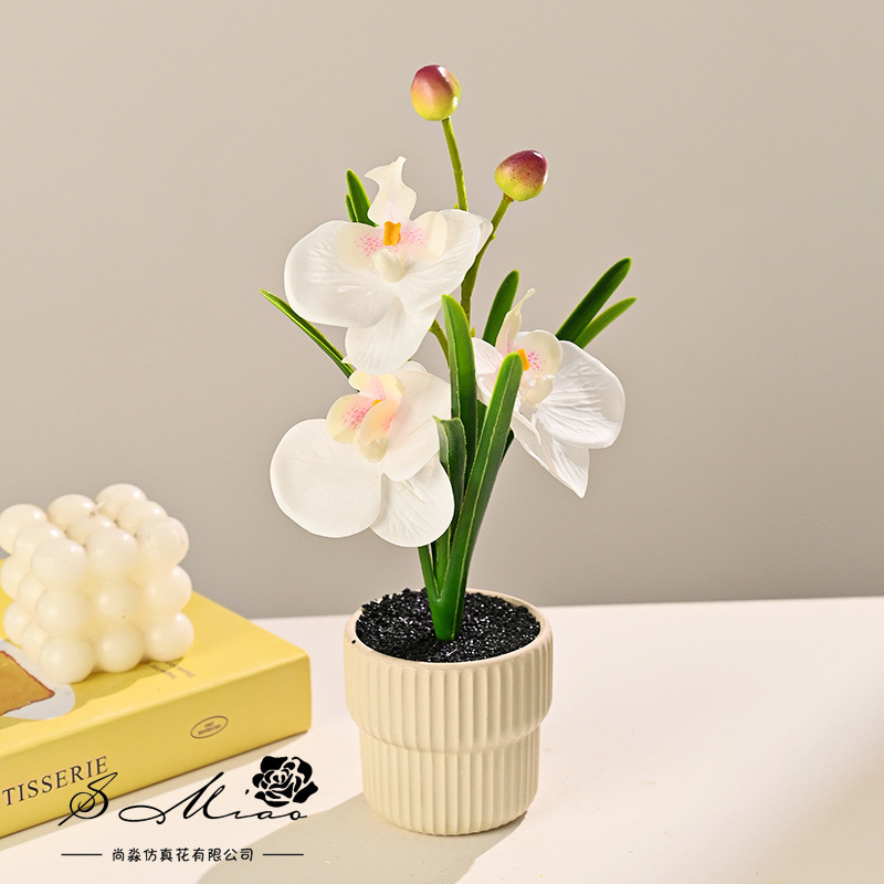Tres flores y dos frutas orquídeas mariposa sensación de mano simulación pequeña decoración del hogar bonsai fotografía flores artificiales boda flores falsas adornos pequeños