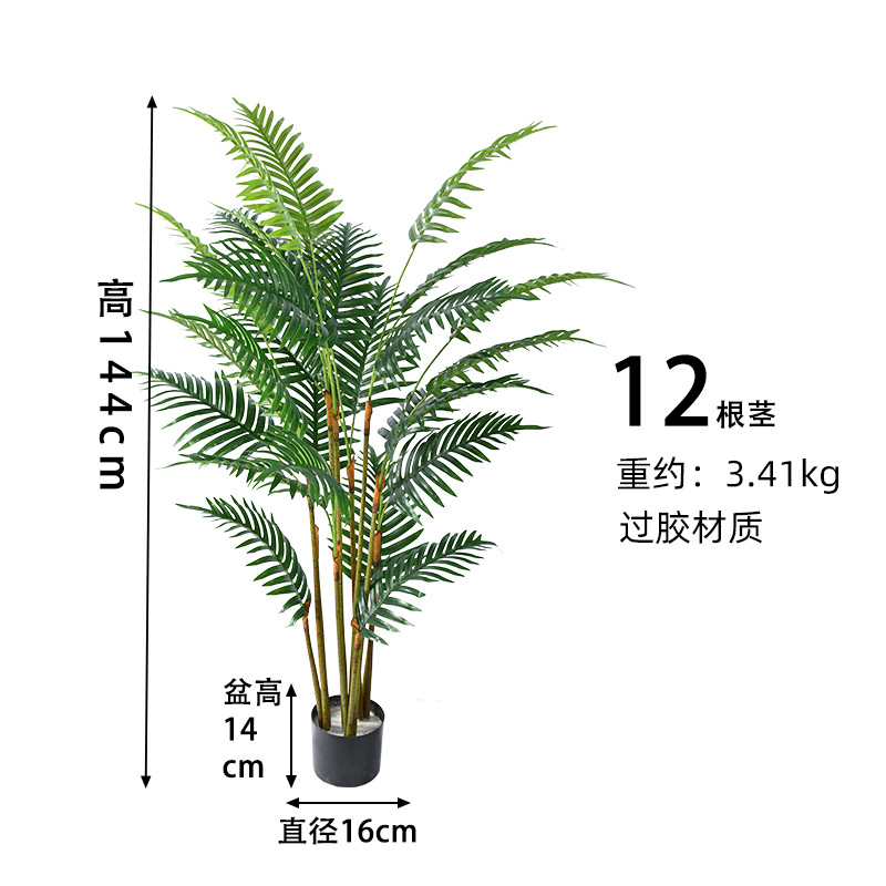 Árbol de simulación de 12 rhizomes