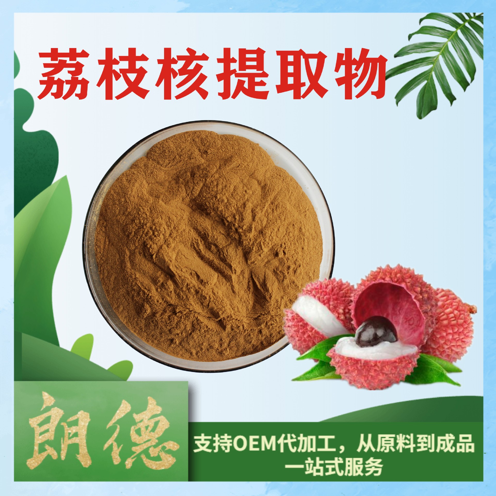 20:1荔枝核提取物 萃取物 比例提取粉 荔枝核提取物 当天发货 1kg