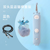 Toy with laser, lamp, small bell, cat, pet