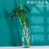 Jingjian's mouth diameter is 10cm, and her mouth diameter is 20cm (结尒)