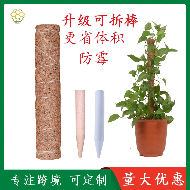 Прямые поставки от производителя: съемные опоры для растений из кокосового волокна, мховые стойки для поддержки растений, набор для подвязки вьющихся растений, оптовая продажа колонн для подвязки зеленого редиса.
