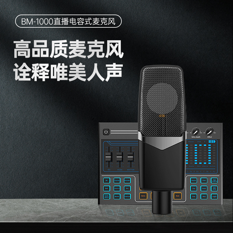 Microphone karaoke artifact computer recording live cable microphone live large diaphragm condenser microphone