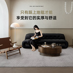 源头工厂羊毛家用地毯耐脏易打理客厅茶几毯满铺卧室床边毯可裁剪