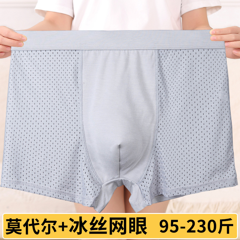 Ice Silk mesh men's underwear transparent plus size thin men's boxers modal breathable boxers