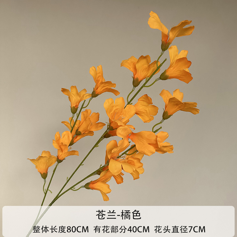 오렌지