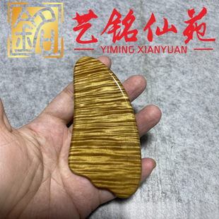 ���~��z�ľ�ΰ����ְѼ�ˇ���Է������Ů�S����yľ�񽛽j����