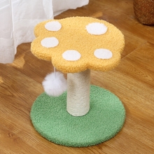 ؈С؈ץ؈Cһw؈؈؈צСͲռ