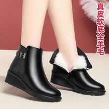 ¿ƤŮʿЬ¸ůëѥܛ׳