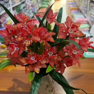 ��Ʒ����������ٺ�3&times;2.2���׻���ٺϻ�����Ҿ��Ʒ�[�����w