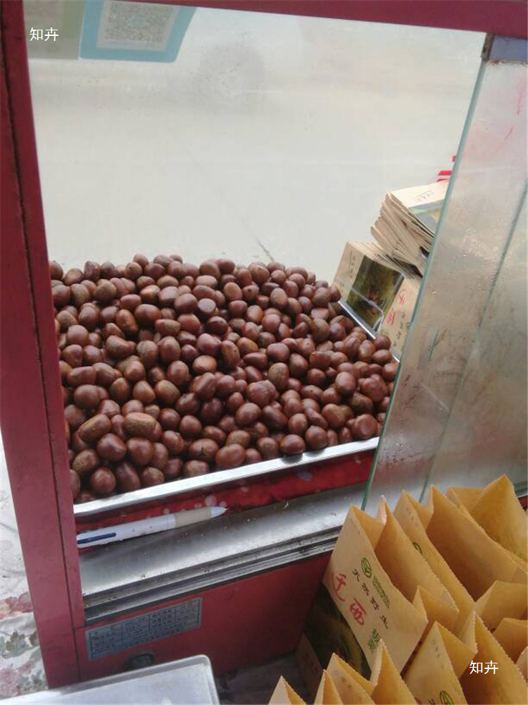 hGyTgvKjy9T/JMfycqcYivWvmdepdJE5YStV