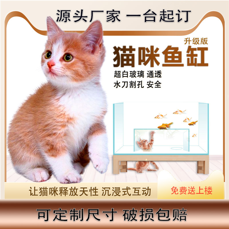 猫咪观赏可钻互动鱼缸沉浸式观赏网红同款猫缸超白玻璃鱼缸代发