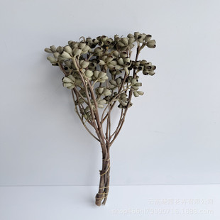 ���ƹ��ɻ�����С�׹�������ϏS�����l�ҾӲ廨�b������L�[��